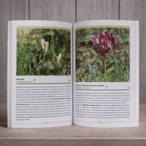 Libro Guía Plantas Meliferas