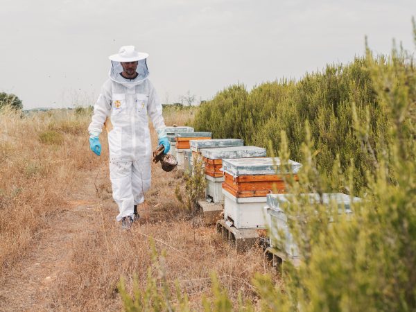 apicultor campo