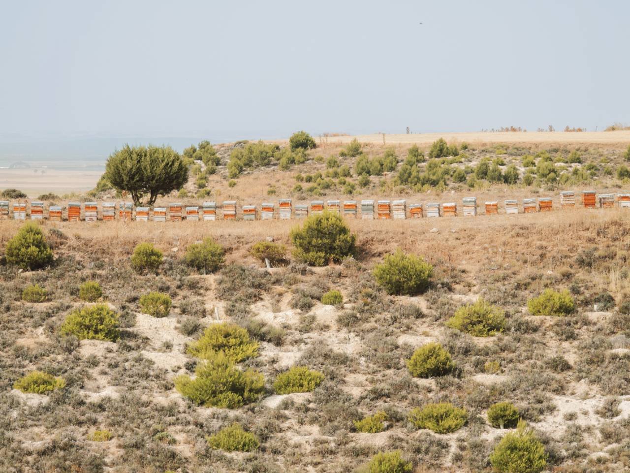 Un encuentro para compartir saberes