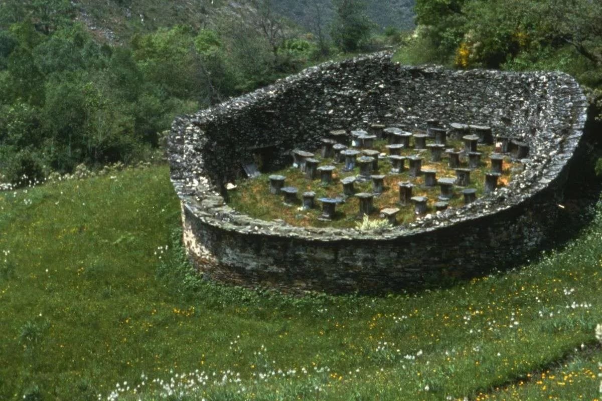 colmenares estantes protegidos contra el oso