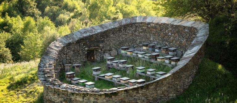 colmenares estantes protegidos contra el oso