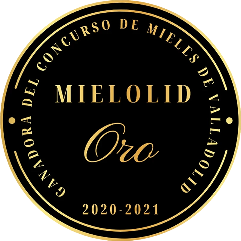 Premios Melolid 2021